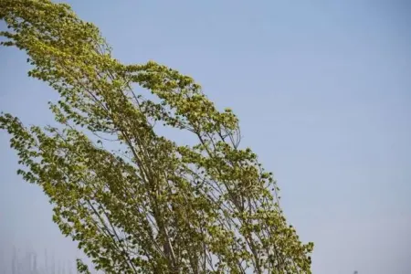 Hava şəraiti ilə bağlı xəbərdarlıq elan olundu