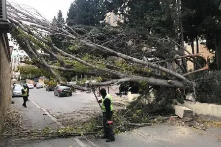 Başına ağac düşən 21 yaşlı Rəvan vəfat etdi