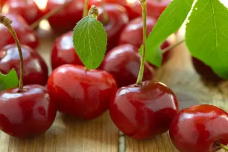 Albalının orqanizm üçün - FAYDALARI