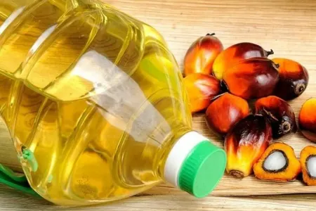 Ölümü yaxınlaşdıran idxal: - Bu məhsulu mətbəximizə necə ötürürlər?