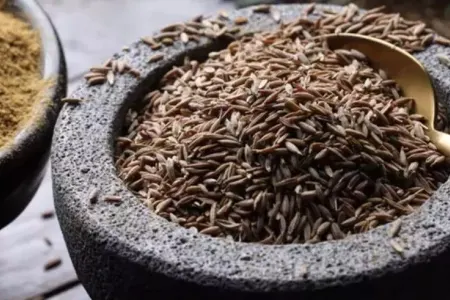Dəmir çatışmazlığını aradan qaldıran ədviyyatlar