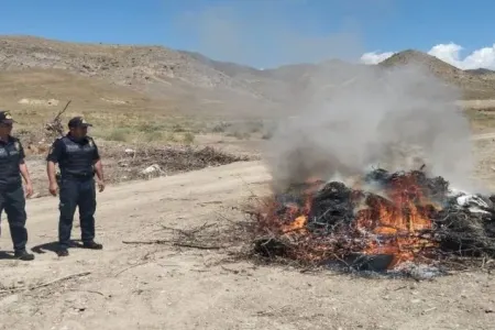 Naxçıvan polisi əməliyyat keçirdi