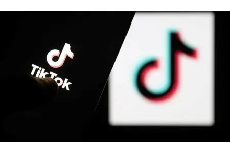 TikTok-dan 16,5 milyon video silindi