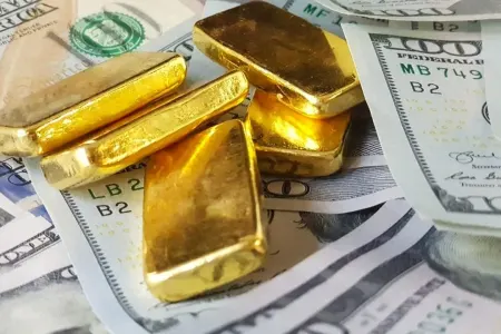 Türkiyə Mərkəzi Bankı ehtiyatlarında - yeni rekord