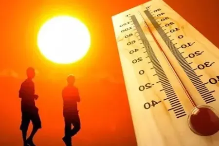 Dəhşətli istilər - 6 gündə 568 nəfər öldü