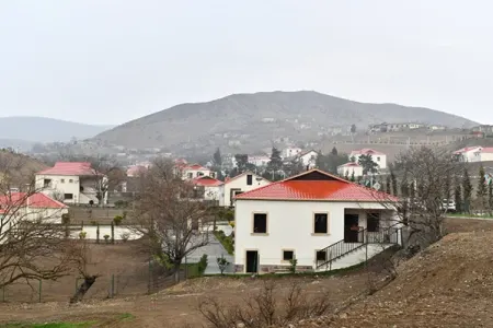 Şəhid ailələrinin uçotuna dair qanun dəyişdi