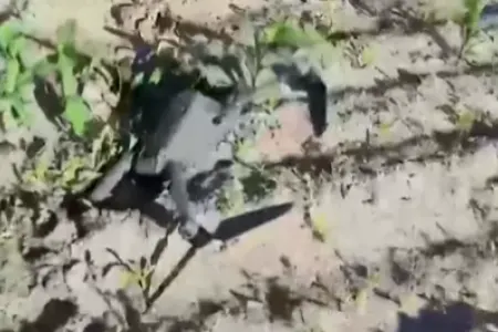 Ukraynanın pilotsuz təyyarəsi Belarusiyada - VURULDU