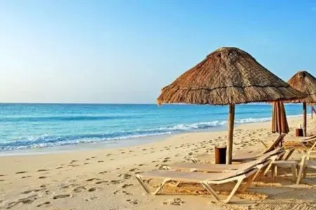 DİQQƏT!!! Bu çimərliklərdə virus və bakteriyalar var