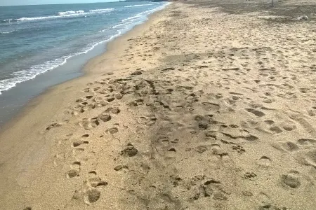 Çimərlikdə QORXUNC OLAY: - Qan töküldü - FOTOLAR