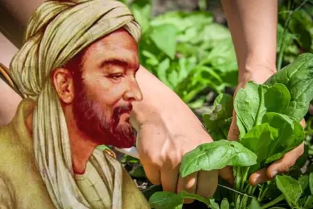 İbn Sinanın hər dərdə dərman - resepti