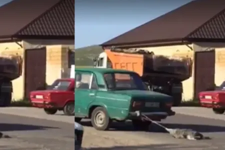 Azərbaycanda DƏHŞƏT: iti maşının arxasına bağlayıb sürüdülər