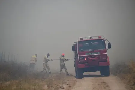 Bolqarıstan sərhədində yanğın - FOTO