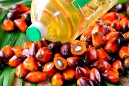 DƏHŞƏT! Palma yağını sabun hazırlamaq adı ilə gətirib ərzağa qatırlar