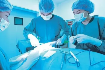 Ürək toxuması klinik şəraitdə ilk dəfə yeniləndi