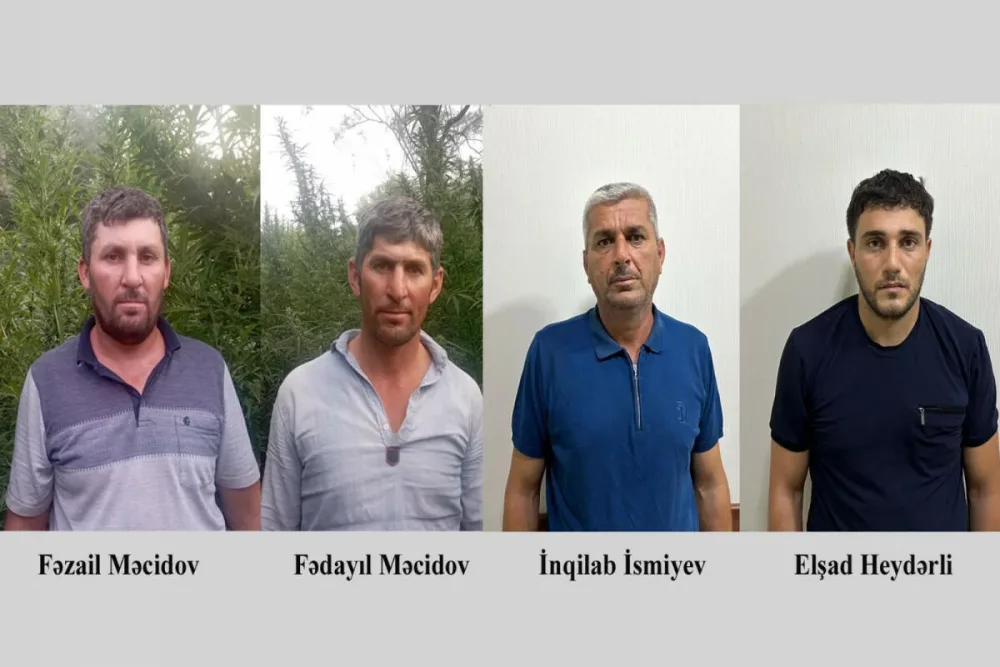 Fermada çətənə kolları yetişdirən 4 nəfər saxlanıldı - FOTO