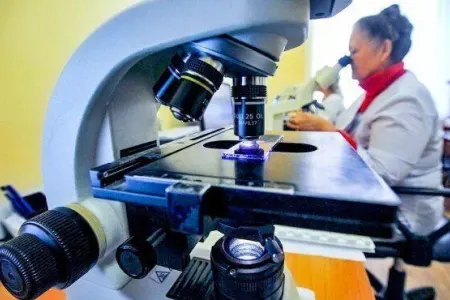 Xərçəng hallarının 40 faizi pis vərdişlərlə bağlıdır - – Yeni araşdırma