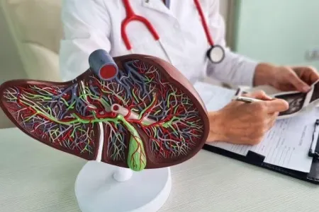 Yaddaş itkisinin gözlənilməz səbəbi - TAPILDI