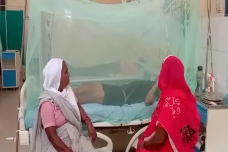 Dang qızdırması aşkar edildi