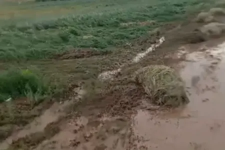 Türkiyədə sel - FOTO