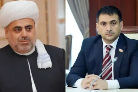 Şeyxin kürəkəni deputat olacaq? - YAP qərar verdi
