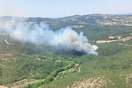 Türkiyədə 2 rayonda yanğın baş verdi