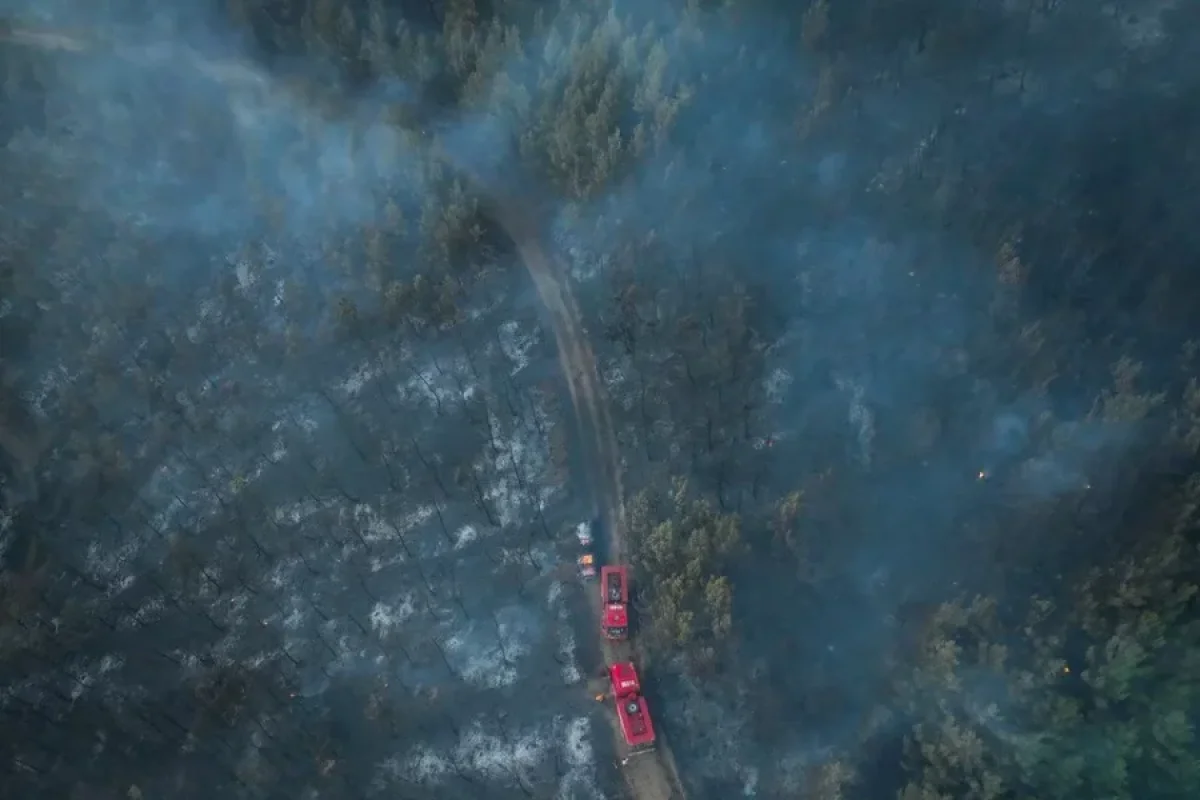 İzmirdə meşə yanğını