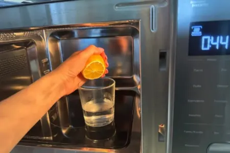 Limonlu suyu mikrodalğalı sobada qızdırın - – SƏBƏB