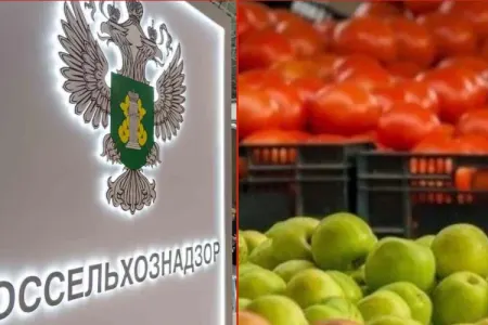 Rusiya Ermənistandan pomidor və alma idxalını dayandırdı