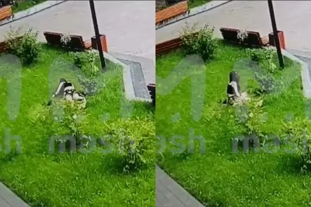 13-cü mərtəbədən yıxılan qadın... - ŞOK