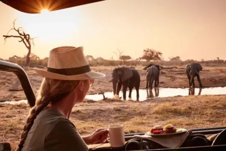 Səyahət infeksiyalarına diqqət edin