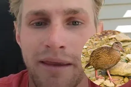 "Survivor" iştirakçısı görün nə yedi