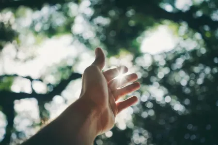 Qlobal D vitamini böhranının həlli varmı?