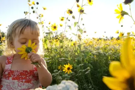Qoxu itkisi Alzheimer xəstəliyindən xəbər verə bilər