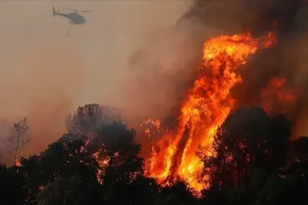 Meşə yanğınları beyinə də - mənfi təsir göstərir