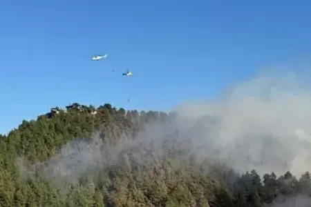 Meşə yanğınının səbəbi MƏLUM OLDU - ZARAFAT İMİŞ..