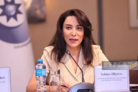 Seçki günü Ombudsman Aparatının müstəqil əməkdaşları da müşahidə aparacaqlar