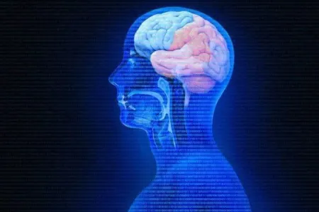 Alimlər parazitdən istifadə edərək beyinə dərman ötürməyə nail oldular