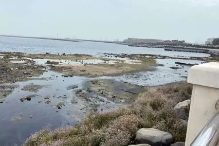 Xəzərin suyu çəkildi, qədim şəhər üzə çıxdı - VİDEO