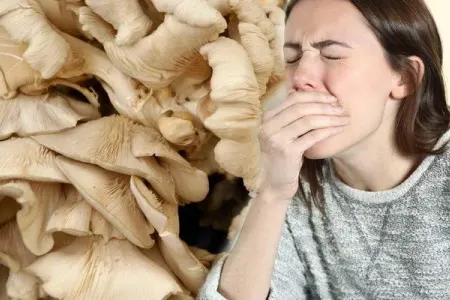 Göbələk yedilər, - zəhərləndilər..