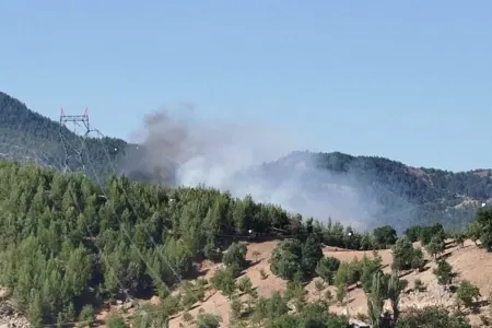 Helikopter qəzaya uğradı