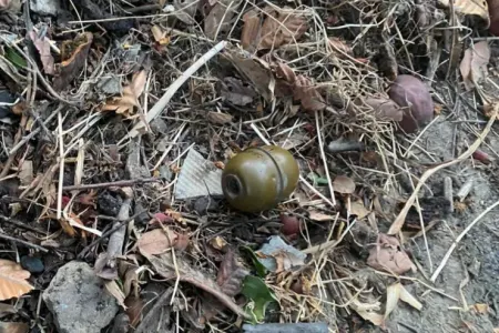 Qaraçuxur qəsəbəsində qumbara aşkarlandı