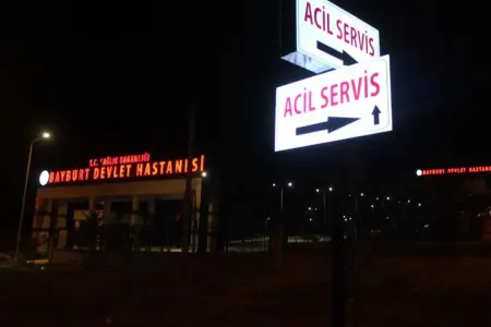 Göbələkdən zəhərlənən 5 nəfər xəstəxanaya yerləşdirildi