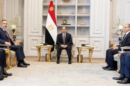 Hakan Fidan Sisi ilə görüşüb