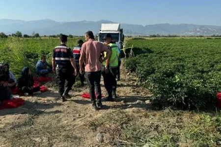 Yük maşını tarlada yatan uşağın - üstündən keçdi