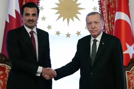 Ərdoğan Al Sani ilə görüşəcək