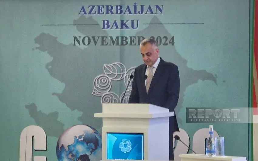 Naxçıvanda COP29-la bağlı konfrans - keçirilir