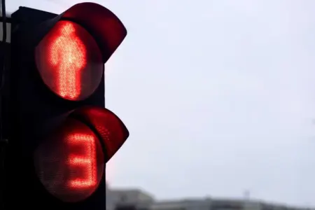İşıqforlar haqqında bilmədiyiniz - MARAQLI FAKTLAR