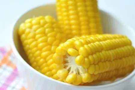 Yayın əvəzolunmaz qidası: - Qarğıdalı faydalıdır, yoxsa zərərli?