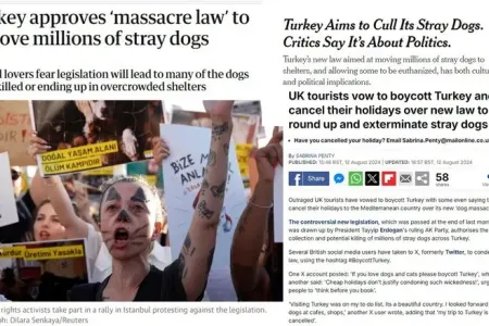 İngiltərə mətbuatından Türkiyəyə - SƏRT REAKSİYALAR