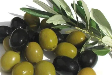 Niyə gündə 10 zeytun yeyilməlidir?